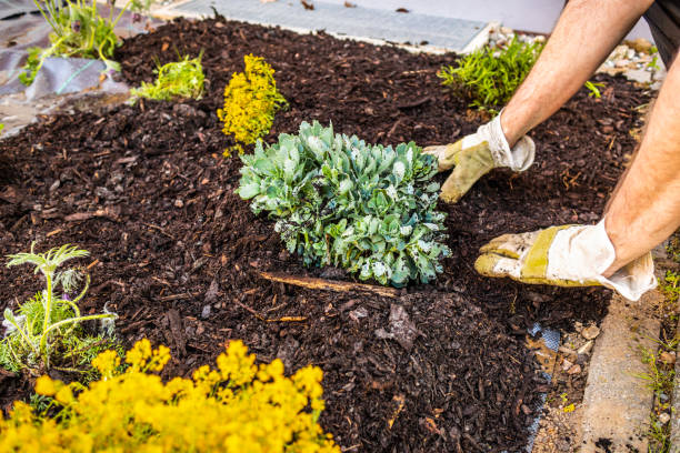Garden Bed Installation