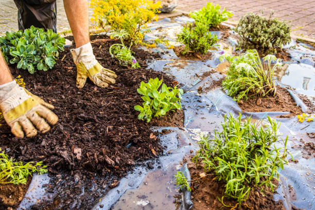 Garden Bed Installation