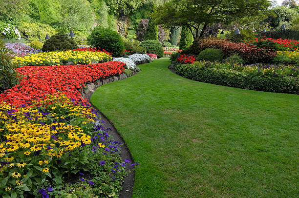 Landscape Design