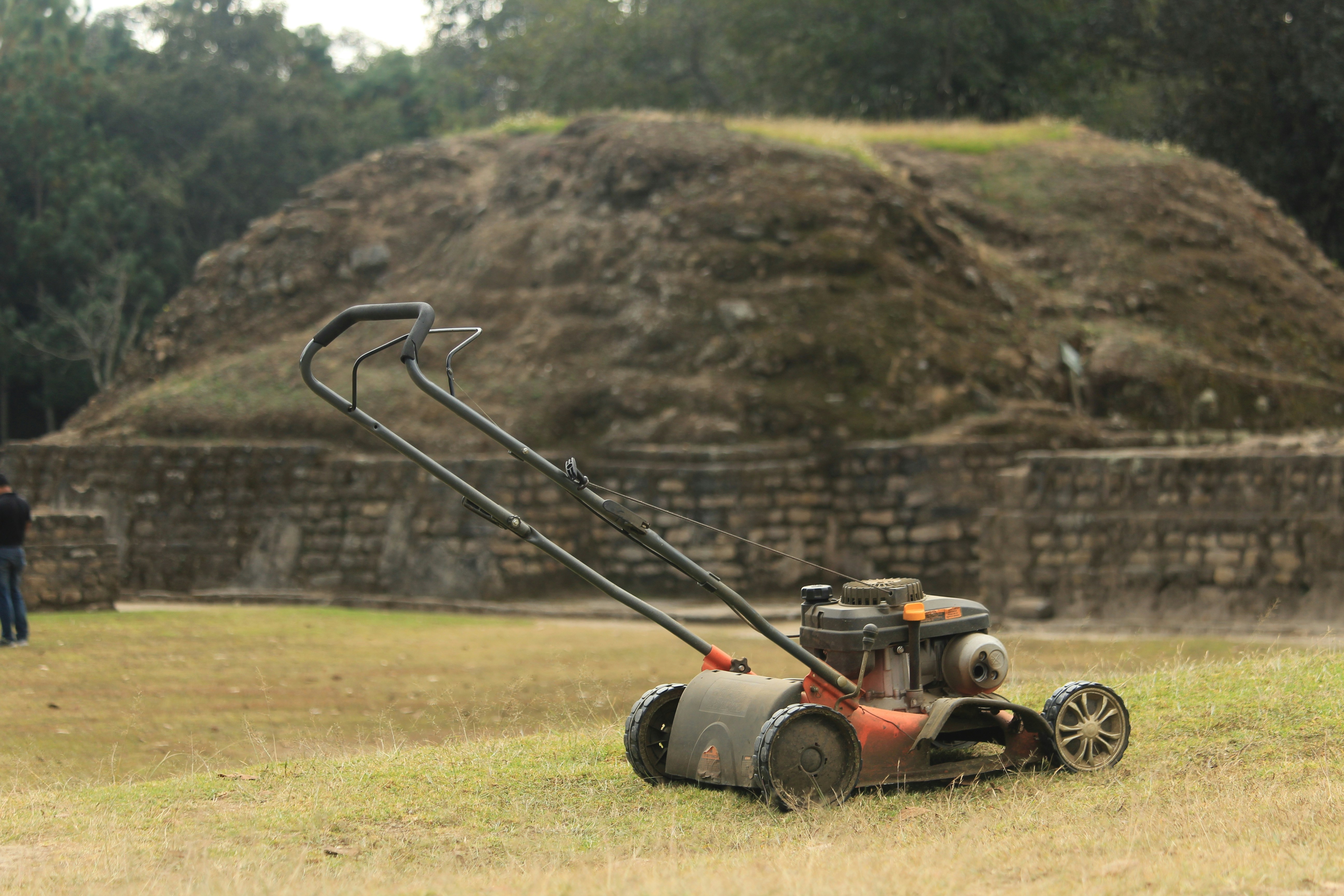 Lawn Mowing