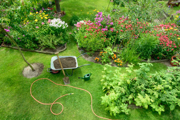 Beautiful landscaped garden