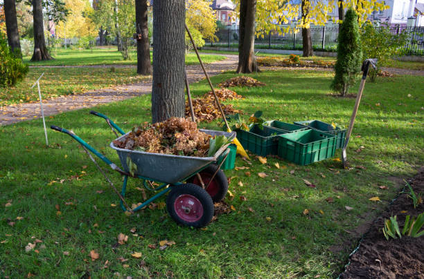 Seasonal Clean-Up