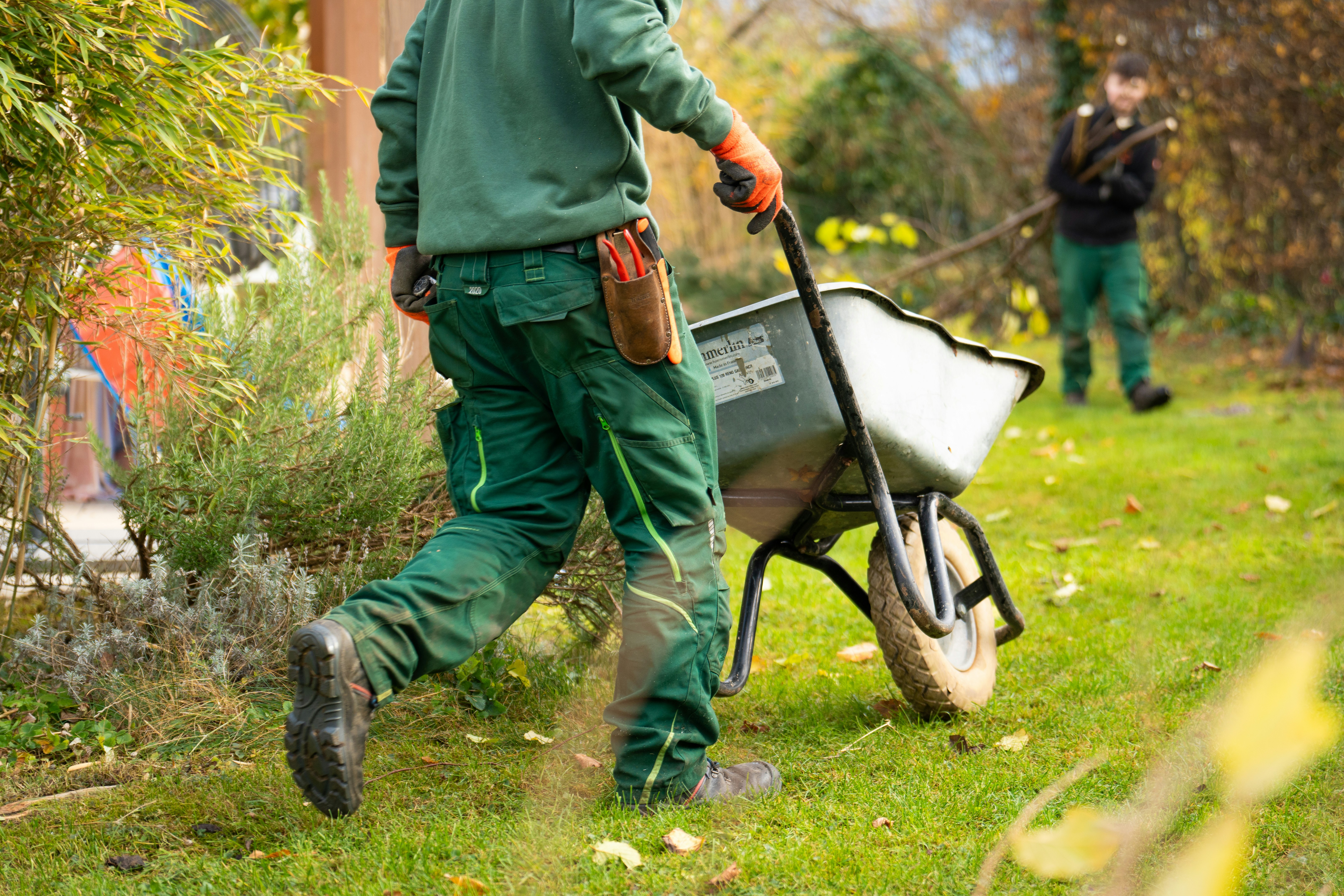 Seasonal Clean-Up