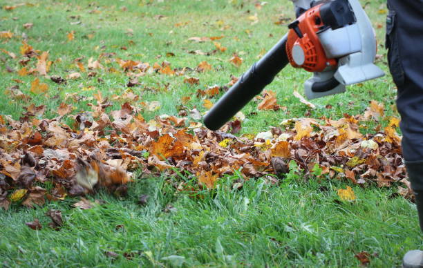 Seasonal Clean-Up